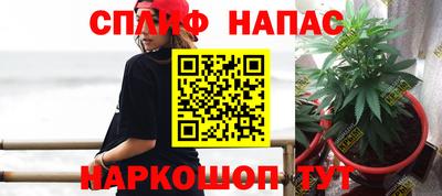 кокс Краснодар