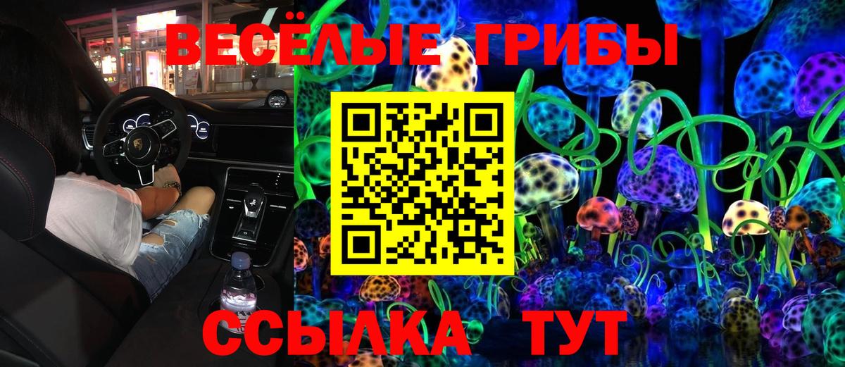 Псилоцибиновые грибы GOLDEN TEACHER  наркота  Карпинск  Галлюциногенные грибы ЛСД  Вход с VPN 